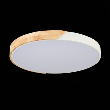 Светильник потолочный Evoluce Festa SLE200952-01-8