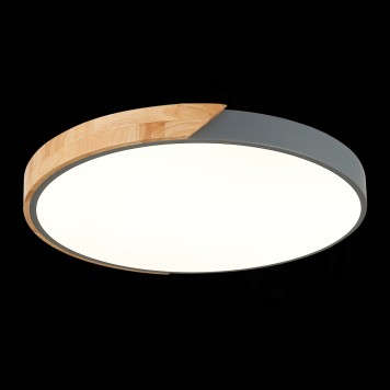 Светильник потолочный Evoluce Festa SLE200972-01-1