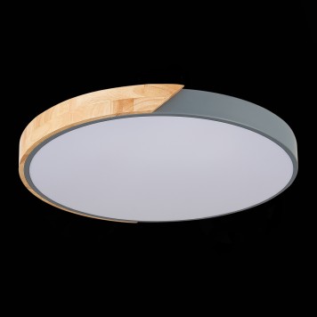 Светильник потолочный Evoluce Festa SLE200972-01-10