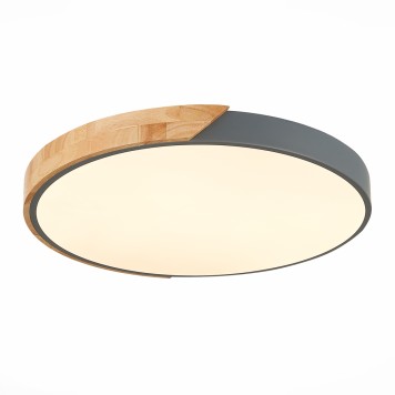 Светильник потолочный Evoluce Festa SLE200972-01-4