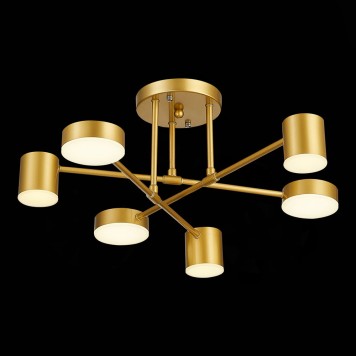 Светильник потолочный Evoluce Nobel SLE201022-06-1