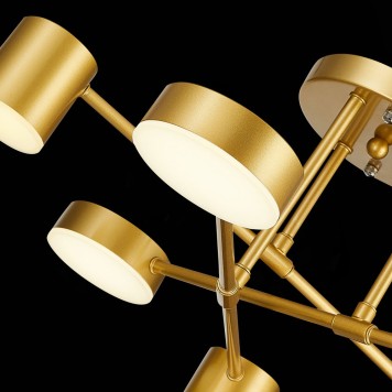 Светильник потолочный Evoluce Nobel SLE201022-06-6