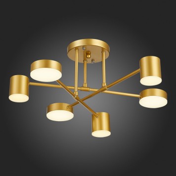 Светильник потолочный Evoluce Nobel SLE201022-06