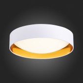 Светильник потолочный Evoluce Orbio SLE201122-01