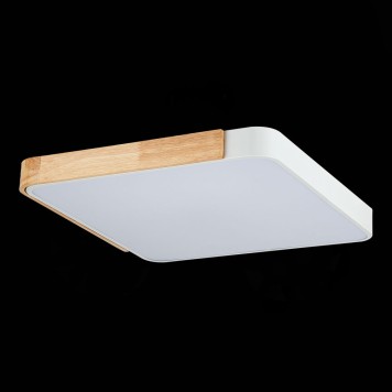 Светильник потолочный Evoluce Festa SLE201252-01-1