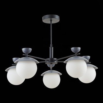 Светильник потолочный Evoluce Genova SLE220202-05-2