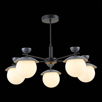 Светильник потолочный Evoluce Genova SLE220202-05-6