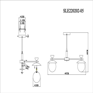 Светильник потолочный Evoluce Genova SLE220202-05-8