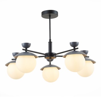 Светильник потолочный Evoluce Genova SLE220202-05