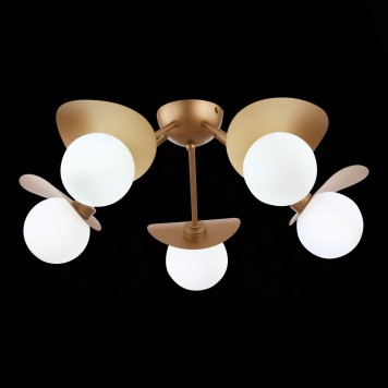 Светильник потолочный Evoluce Bolzano SLE220502-05-4