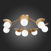 Светильник потолочный Evoluce Bolzano SLE220502-08