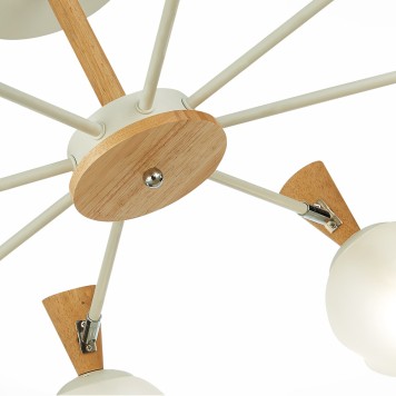 Светильник потолочный Evoluce Catania SLE220702-08-3