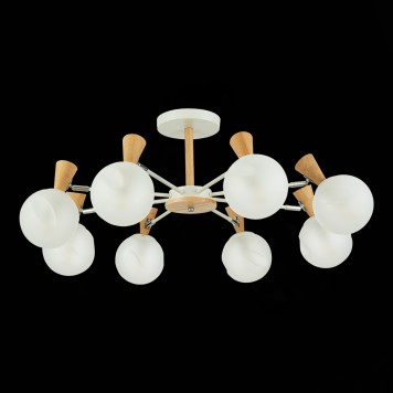 Светильник потолочный Evoluce Catania SLE220702-08-4