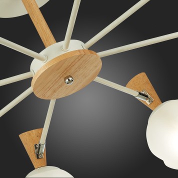 Светильник потолочный Evoluce Catania SLE220702-08-5