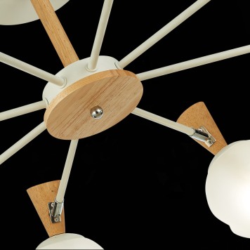 Светильник потолочный Evoluce Catania SLE220702-08-6