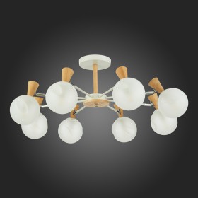 Светильник потолочный Evoluce Catania SLE220702-08