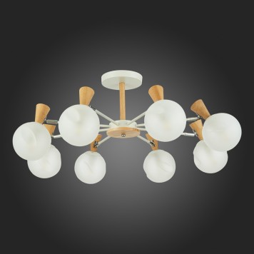 Светильник потолочный Evoluce Catania SLE220702-08