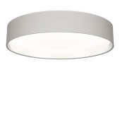 Светильник потолочный Evoluce Brescia SLE300512-01