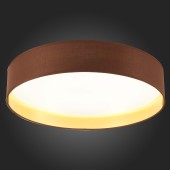 Светильник потолочный Evoluce Brescia SLE300592-01