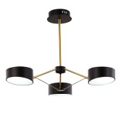 Светильник потолочный Evoluce Valle SLE6005-402-03