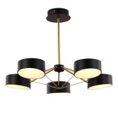 Светильник потолочный Evoluce Valle SLE6005-402-05