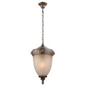 Уличный потолочный светильник Favourite Guards 1336-1P