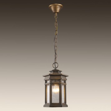 Уличный потолочный светильник Favourite Guards 1458-1P