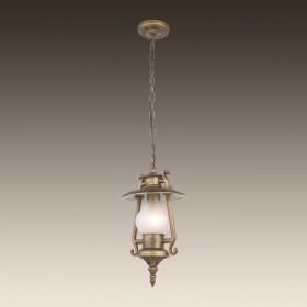 Уличный потолочный светильник Favourite Leyro 1496-1P