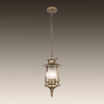 Уличный потолочный светильник Favourite Leyro 1496-1P