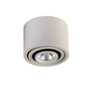 Светильник точечный Favourite Reflector 1774-1C-2