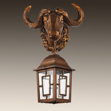 Уличный настенный светильник Favourite Hunt 2080-1W