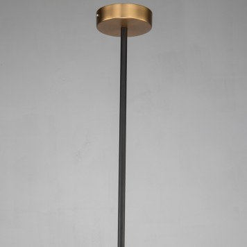 Люстра Favourite Roshe 2624-1P-3