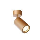 Светильник точечный Favourite Angularis 2802-1U