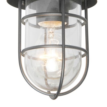 Уличный потолочный светильник Favourite Pointer 3021-1P-2