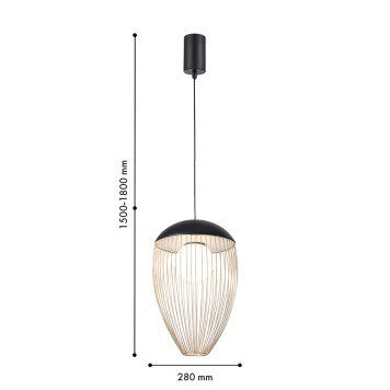 Люстра Favourite Core 4241-1P-3