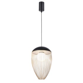 Люстра Favourite Core 4241-1P