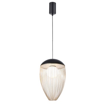 Люстра Favourite Core 4241-1P