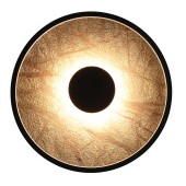 Светильник настенно-потолочный Favourite Tallar 4445-2W