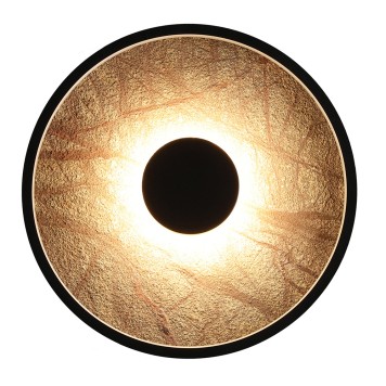 Светильник настенно-потолочный Favourite Tallar 4445-2W