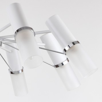 Светильник потолочный F-Promo Viator 2559-8P-6