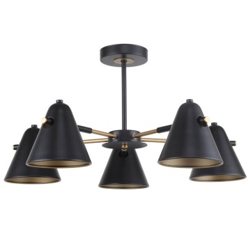 Светильник потолочный F-Promo Rigor 2844-5P-1