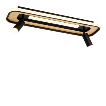 Светильник потолочный F-Promo Olika 4439-2C