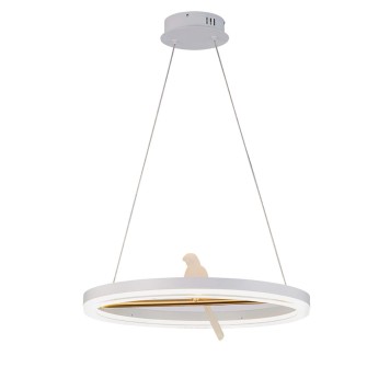 Люстра F-Promo Bardy 4653-1P