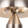 Лампа настольная Freya Eleon FR5218TL-02N