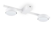 Светильник потолочный Freya Tactic FR5363CL-02W