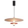 Люстра Freya Acoustic FR5494PL-L9TR