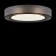 Светильник потолочный Freya Zoticus FR6005CL-L48G