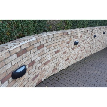 Уличный настенный светильник Fumagalli Francy 1A1.000.000.AYF1R-1