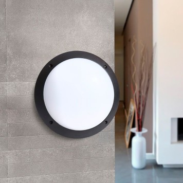 Уличный настенный светильник Fumagalli Lucia 1R3.000.000.AYE27-2