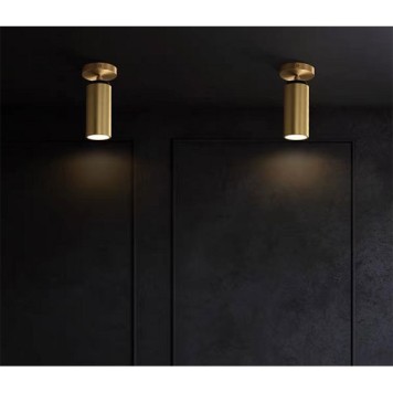 Светильник точечный iLamp Plum 8861C BR-BK-3